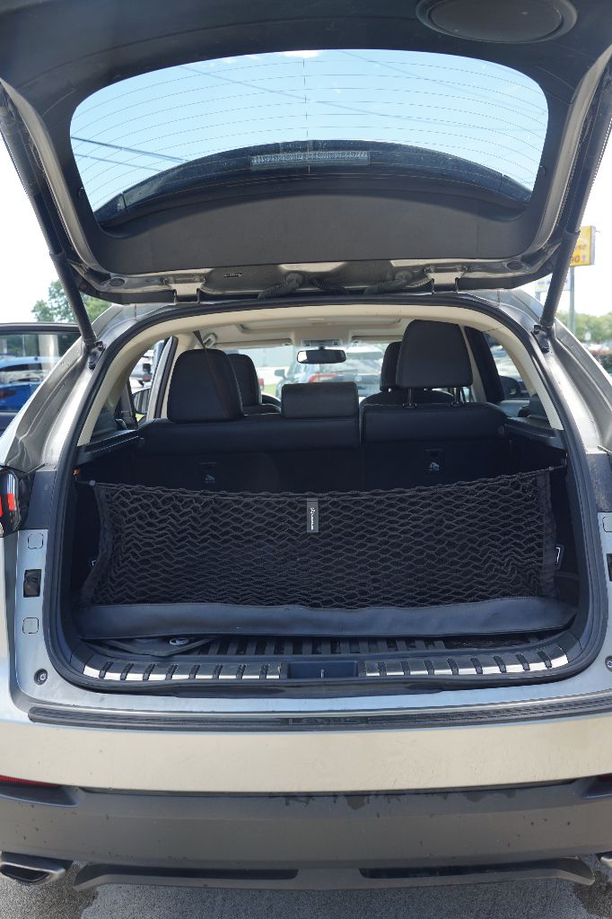 Lexus NX photo 13